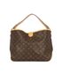 Delightful Hobo Bag, front view